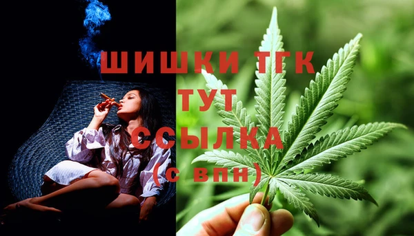 винт Алзамай