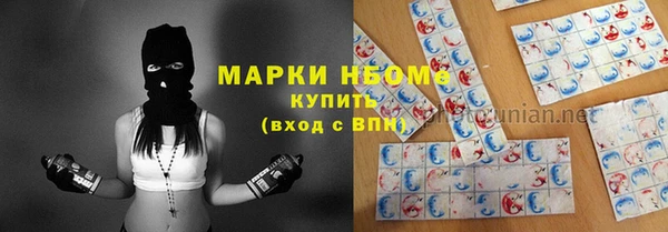 индика Абинск